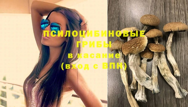 марки nbome Богданович