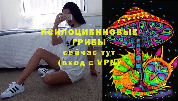 марки nbome Богданович