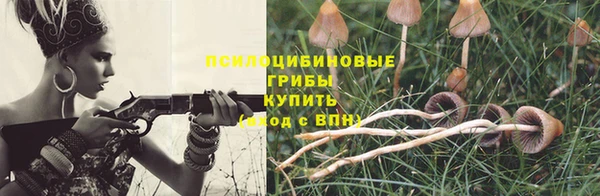 ГАЛЛЮЦИНОГЕННЫЕ ГРИБЫ Сафоново