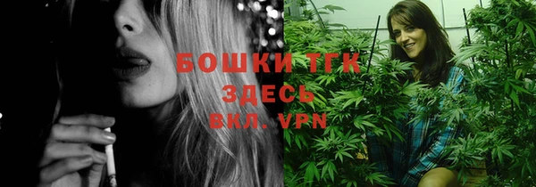 стаф Саяногорск