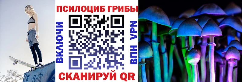 Псилоцибиновые грибы Psilocybine cubensis  Плёс 